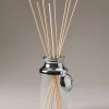 Chrome plated brass Home diffuser bottle