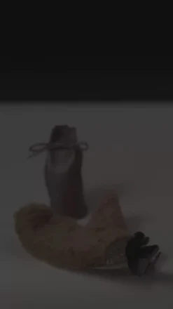Lambskin Shoe shine mitt