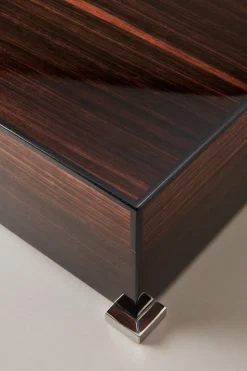 Makassar ebony Small cigar humidor box