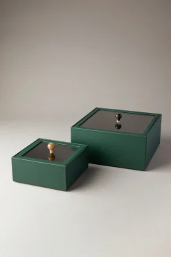 Scatola quadrata con coperchio in vetro - zebù - Rectangular box with glass lid in zebu
