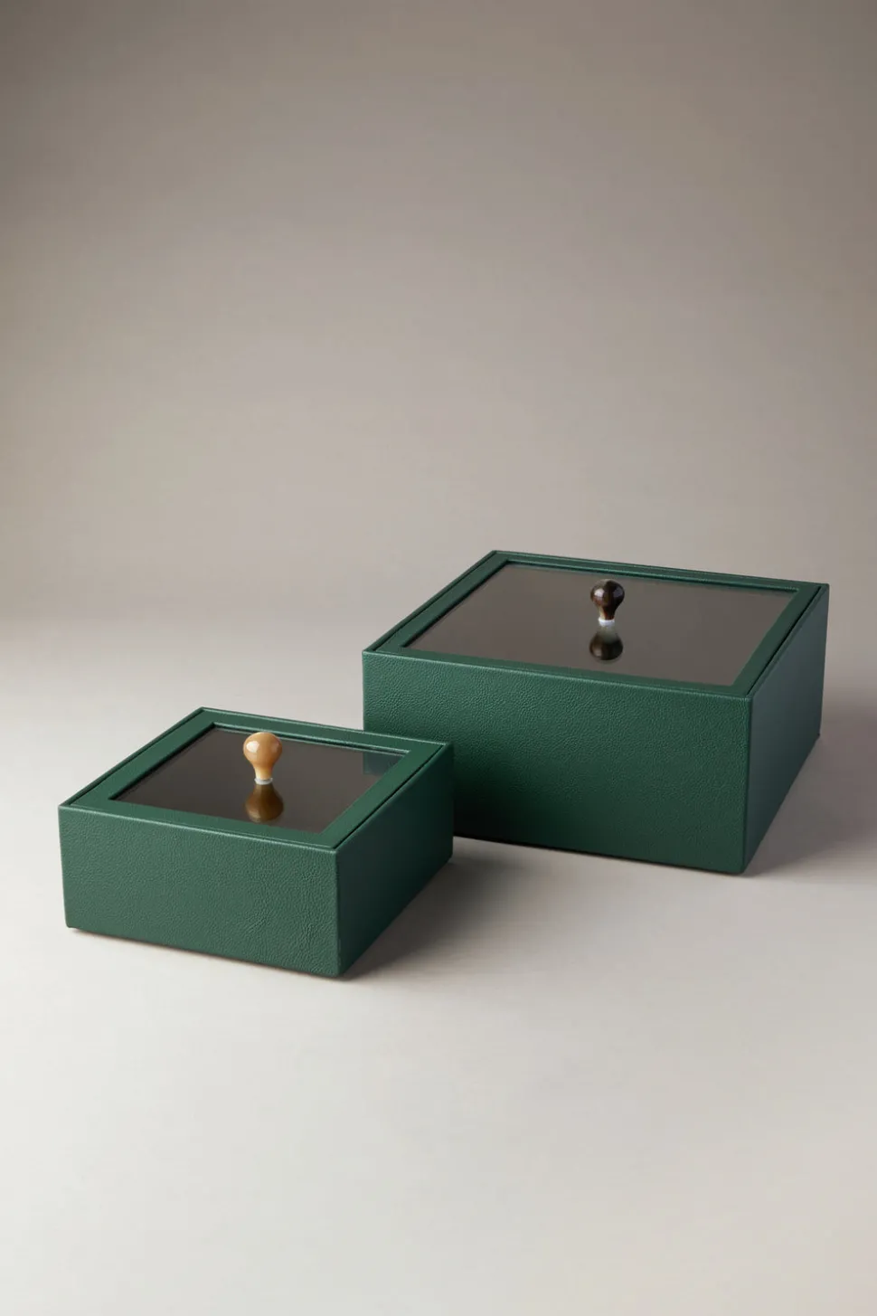Scatola quadrata con coperchio in vetro - zebù - Rectangular box with glass lid in zebu