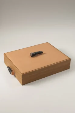 Springbok Shoe shine box with Ovangkol brushes