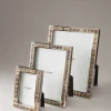 Stag antler Picture frame