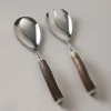 Stag antler Salad set