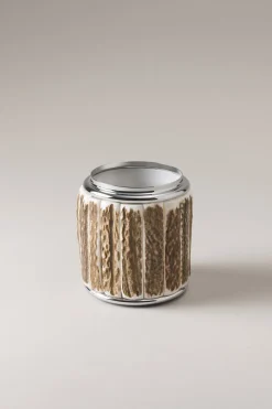 Stag antler Toilet ear picks jar
