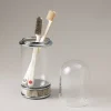 Zebu Glass toothbrush pot with glass dome