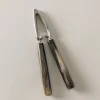 Zebu Nutcracker