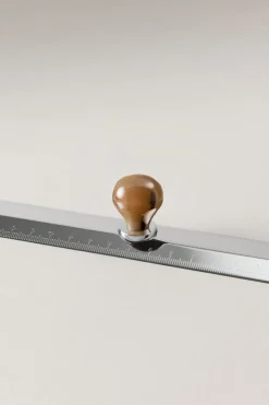 Zebu Ruler