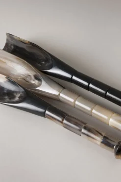 Zebu Shoehorn