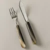 Zebu Table fish set