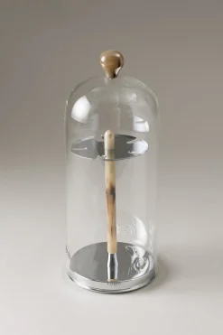 Zebu Toilet tooth-brush holder with glass covering
