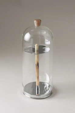 Zebu Toilet tooth-brush holder with glass covering